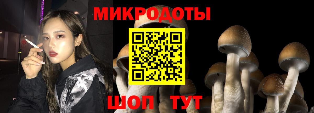 Ржев  Псилоцибиновые грибы ЛСД  Вход с VPN 